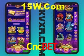 Statistics Cncbet